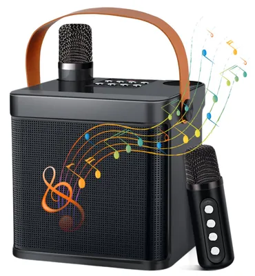 Karaoke-Maschine mit 2 Mikrofonen, Bluetooth-Lautsprecher, tragbar