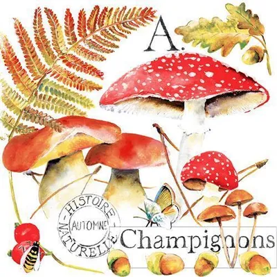 Produktbild von 20 Servietten Champignons - Pilze im Herbst 33x33cm