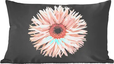 Produktbild von MuchoWow® Zierkissen Sofakissen Wohnzimmer Dekokissen 50x30 cm Barberton - Blumen - Garten - Wohnzimmerdekoration - Polster mit Photo
