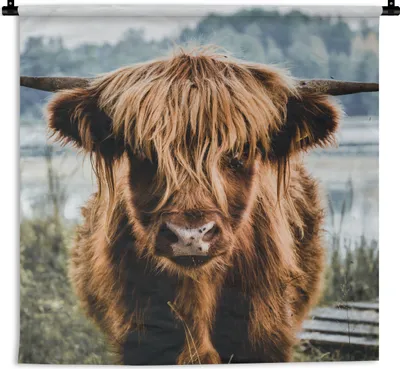 Produktbild von MuchoWow® Wandteppich Wandbehang Kühe - Schottische Hochlandbewohner - Braun - Natur 90x90 cm Tapisserie Dekoration Wandtuch - Wandaufhänger