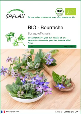 Image de SAFLAX  -- Bourrache - 40 graines - Borago