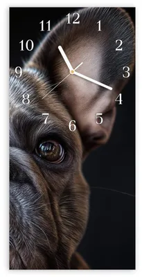Produktbild von Wanduhr aus Glas mit Motiv Bulldoggenportrait- 30 x 60 cm - inkl. Aufhängesystem