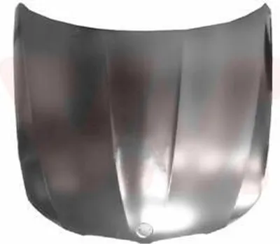 Immagine prodotto di VAN WEZEL 0667660 Cofano