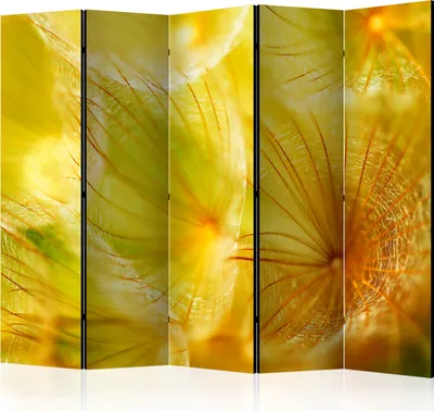 Produktbild von Akusticher Raumteiler Pusteblume Foto Paravent 225x172 cm beidseitig auf Vlies-Leinwand bedruckt Akustikschaum Trennwand Spanische Wand Sichtschutz Home Office Blumen b-C-0466-z-c
