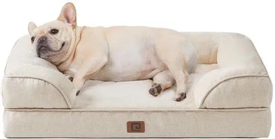 Image de Lit orthopédique pour petits chiens, 76 x 51 x 15 cm, coussin pour chien en tissu Traumstoff, lavable, imperméable, antidérapant, beige