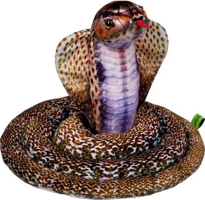 Produktbild von Nature Zoom|Die Spiegelburg Kobra - Nature Zoom Wild