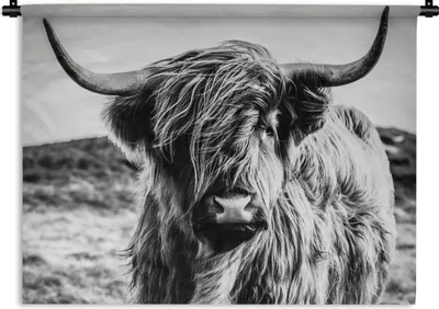 Produktbild von MuchoWow® Wandteppich Wandbehang Schottischer Highlander - Natur - Kuh - Schwarz - Weiß 90x67.5 cm Tapisserie Dekoration Wandtuch - Fototeppich - Wand-Skulpturen