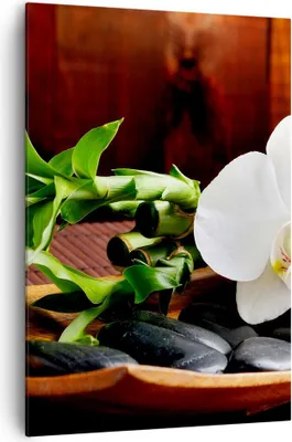 Produktbild von Bild auf Leinwand - Leinwandbild - Einteilig - Bambus Schönheit Dekoration Blume - 70x100cm - Wand Bild - Wandbilder - Leinwanddruck - Wanddekoration - Leinwand bilder - Wandbild - PA70x100-2166