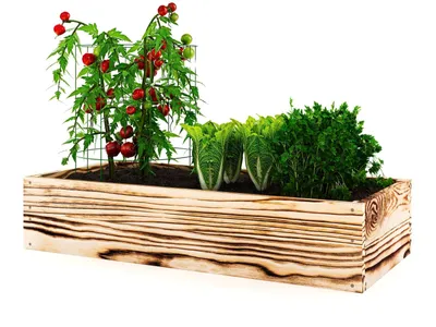 Produktbild von Lermowoood Hochbeet aus Holz 60x60x20 cm Geflammt – Pflanzkasten für Gemüse & Kräuter – mit Agrovließ – steckbar & stapelbar- Aussenbereich ideal für Garten, Balkon & Terrasse