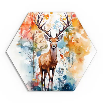 Produktbild von DEQOART Glasbild Echtglas 40x35 cm 'Farbenpracht der Wildnis' Wandbild Bild modern Deko