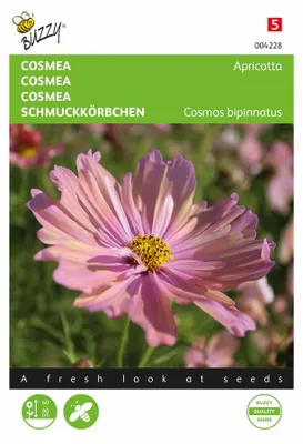 Produktbild von Schmuckkörbchen Apricotta | Cosmeasamen von Buzzy Seeds