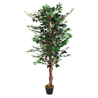 Produktbild von Deko Pflanze 160 cm - Modell: Ficus