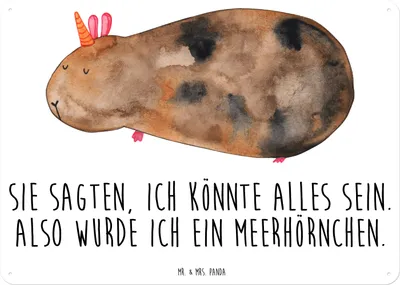 Produktbild von Mr. & Mrs. Panda Schild Einhorn Meerschweinchen DIN A3 - Weiß - Geschenk, Unicorn, Meerhörnchen, Meerschwein, Türschild, wandtafel, tafel, Einhörner, Metallbild, Wandbild