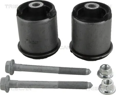 Produktbild von TRISCAN 8500 29874 Achslager für VW Golf IV Schrägheck (1J1)