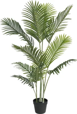 Obrázok produktu pre Umelá palma zelená 120 cm PP