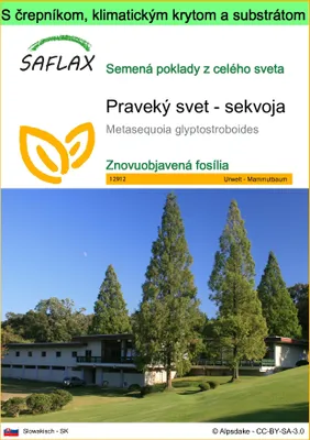 Obrázok produktu pre SAFLAX Garden to go - Praveký svet - sekvoja - Metasequoia glyptostroboides - 60 Semená - S črepníkom, klimatickým vekom a pestovateľským substrátom