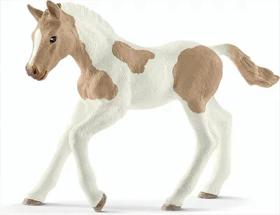 Obrázok produktu pre Domáci miláčik - Paint Horse foal