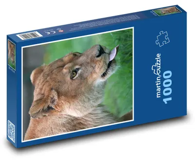 Zdjęcie produktu dla martinpuzzle - Puzzle 1000 elementów - Lwów
