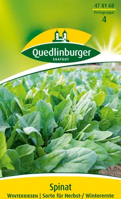 Produktbild von Spinat Winterriesen | Spinatsamen von Quedlinburger