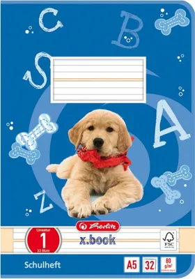 Produktbild von 5 Herlitz Schulhefte / DIN A5 / 32 Blatt / Lineatur 01