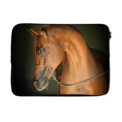 Produktbild von MuchoWow® Laptop Hülle 13 Zoll Pferd - Braun - Zaumzeug Laptoptasche - Laptophülle - Sleeve - Rundumschutz