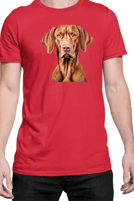 Obrázek produktu pro Pánské Tričko Dogs Breeds Vizsla Dog Breed 005, Man S / Červené