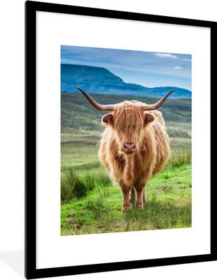 Produktbild von MuchoWow® Gerahmtes Poster Schottischer Hochländer - Kuh - Natur - Berg - Gras 60x80 cm - Poster mit Schwarzem Bilderrahmen Wandposter Rahmen Foto Bilder - Wohnzimmer - Dekorationen - Prämie