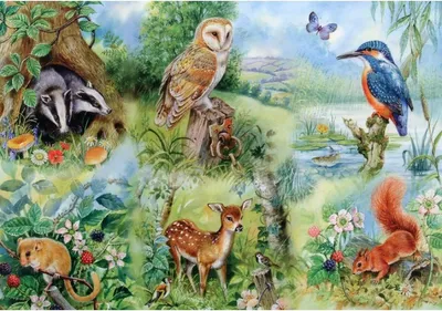 Produktbild von House of Puzzles XXL Puzzle Tiere Naturstudie 250 Teile