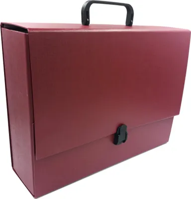 Produktbild von Ordner mit Griff Maxi 2 A4/100 Delfin Burgund