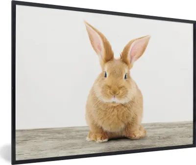 Produktbild von MuchoWow® Gerahmtes Poster Kaninchen - Babykaninchen - Tiere - Kinder - Mädchen - Jungen 90x60 cm - Poster mit Schwarzem Bilderrahmen Wandposter Rahmen Foto Bilder - Fotorahmen - Foto-Plakat