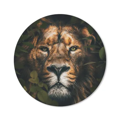 Produktbild von MuchoWow® Mauspad Mousepad Löwe - Tiere - Dschungel 50x50 cm - Mousepads - Maus Mat - Pad - Mausunterlage - Vinyl