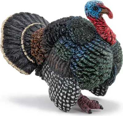 Immagine prodotto di Papo 51195 Tacchino 5 cm animali della fattoria novità 2024