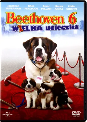 Produktbild von Beethovens großer Durchbruch (nur Originalversion) [DVD]