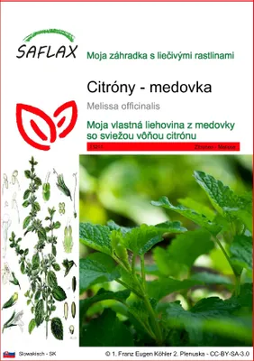 Obrázok produktu pre SAFLAX - Citróny - medovka - Melissa officinalis - 150 Semená
