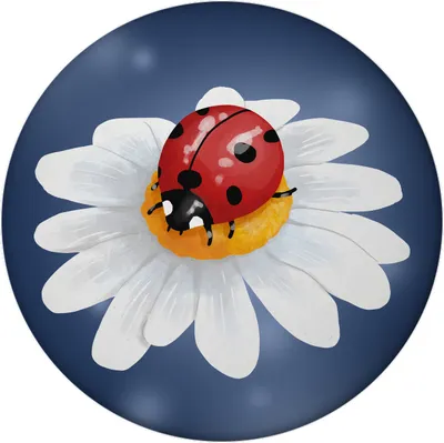 Produktbild von Marienkäfer Glücksbringer Magnet rund mit Flaschenöffner rund