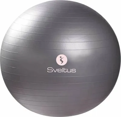 Obrázek produktu pro Sveltus Gymball Šedá 65 cm