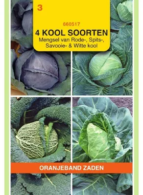 Obrázek produktu pro Oranjeband Mischung – 1 balení semen