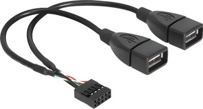 Image de DELOCK USB Kabel Pinheader 10Pin -> 2x A Bu/Bu 0.20m
