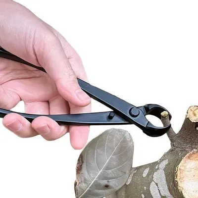 Productafbeelding van Takken Snoeischaar - Handschaar Tuin - Snoeien en Vormgeven - Roestvrij en Veilig - 20.5 cm - Metaal