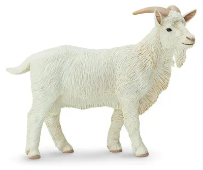 Produktbild von Safari Ltd Ziegenfigur Weiß From 3 Years Kinder Weiß From 3 Years
