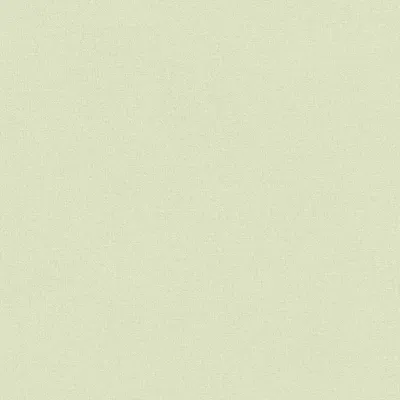Produktbild von Rasch | Wall Textures V | 447538 | Vliestapete | Uni | 10.05 x 0.53 m | Grün | Wohnzimmer | Flur | Büro | Küche | Wohnrä