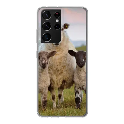 Produktbild von MuchoWow® Handyhülle Schutzhülle Hülle für Samsung Galaxy S21 Ultra Schafe - Natur - Schwarz - Weiß Silikon Softcase Handy Hülle - Mobiltelefon