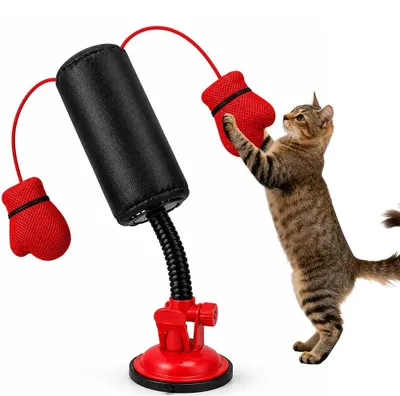 Produktbild von Katzenboxsack mit Handschuhen
