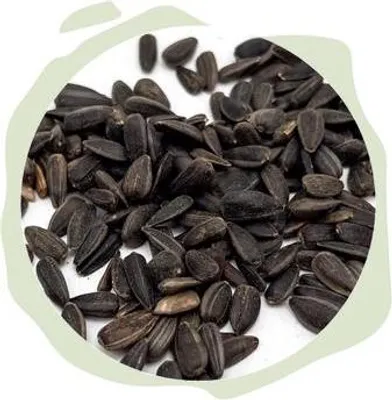 Produktbild von WTS - Naturhäppchen -Sonnenblumenkerne schwarz | 5 KG  - Naturfutter für Vögel