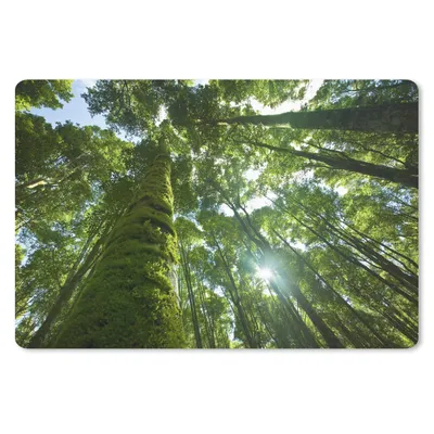 Produktbild von MuchoWow® Schreibtischunterlage Tropischer Dschungel in Asien 60x40 cm - XXL Mauspad - Großes Mauspad