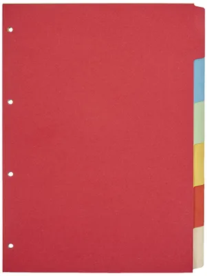 Produktbild von Kangaro Karton-Register DIN A4 blanko beschreibbar. 180 g/m² Manilla recycelter