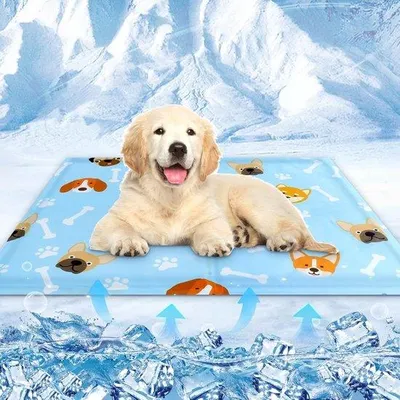Produktbild von Famanu Kühlmatte für Hunde und Katzen - 50 x 40 cm, selbstkühlende Hundematte