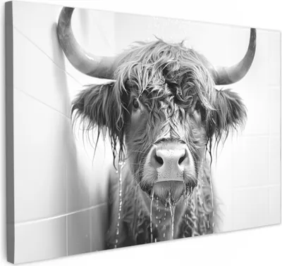 Obrázok produktu pre MuchoWow® - Plátno - Škótsky horal - Zviera - Sprcha - Humor, nástenný obraz, dekorácie na stenu, obrazy do obývačky, 60x40cm