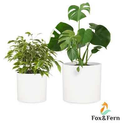 Obrázek produktu pro Blumfeldt Gendt, květináč, vrchní květináč, sada 2 kusů, velikosti L / XL, fiberstone, interiér/exteriér