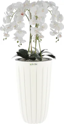 Produktbild von Künstliche Orchidee Weiß Kaskaden Blumenstrauß im Topf mit Rillen Weiß, H 100 cm, gummierte Blumen, 5 Triebe Dekoration Schön Stilvoll Für Zuhause, Büro, perfektes Geschenk